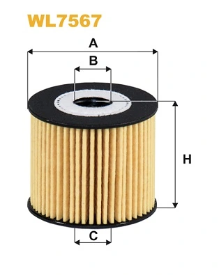 Oil Filter